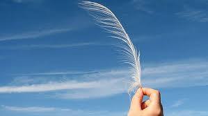 „რა მსურს მე სინამდვილეში“